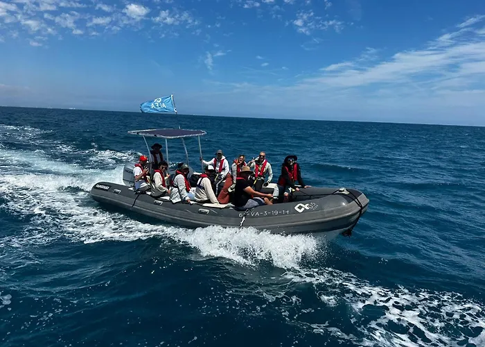 Marine Dream Ботель